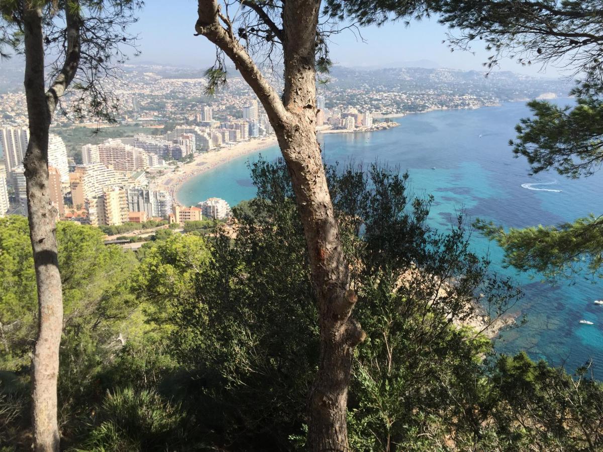 Appartement Mesana 102 / Penthouse